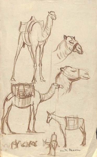 Croquis Egypte
