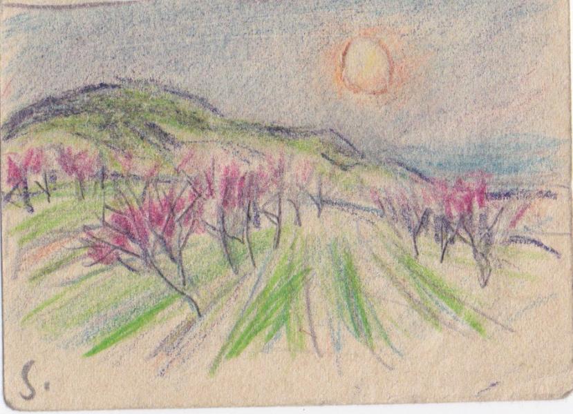 Vallée rose au coucher de soleil René SEYSSAUD