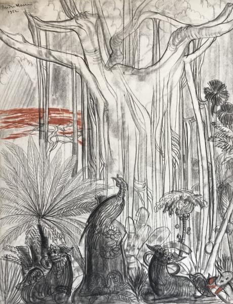 Vietnam, Paon au pied du grand arbre, 1952.
