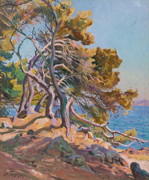 Arbre dans les calanques Antoine PONCHIN