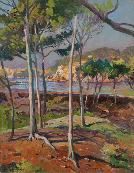 Vue sur les côtes depuis la pinède Antoine PONCHIN