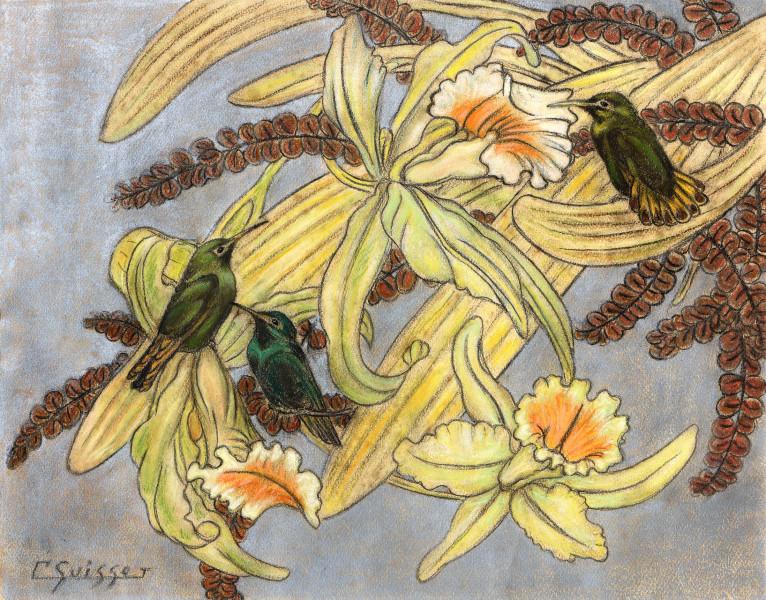 Colibris dans les orchidées