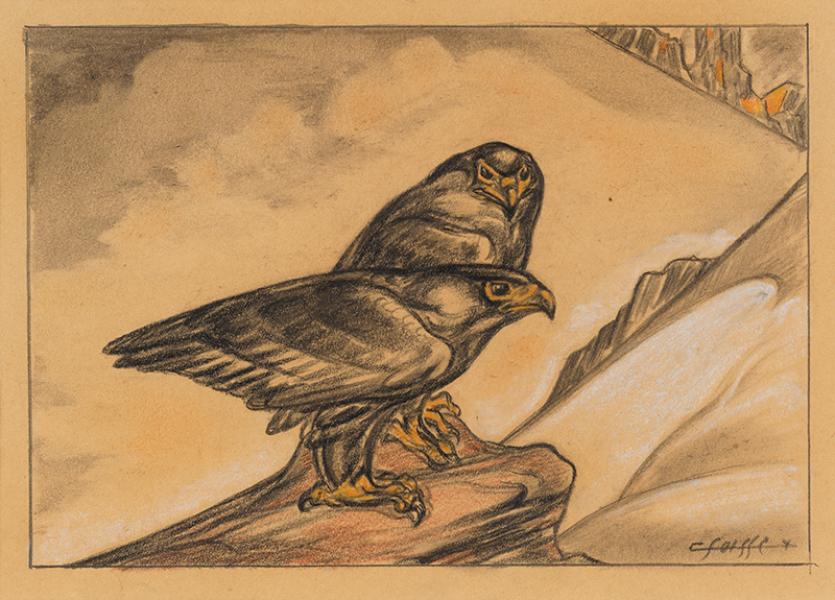 Couple d'aigles bateleurs Gaston SUISSE