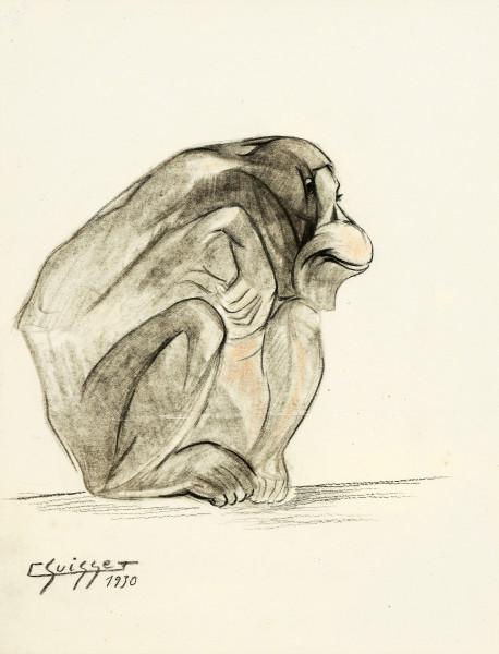 Jeune gorille de profil, 1930