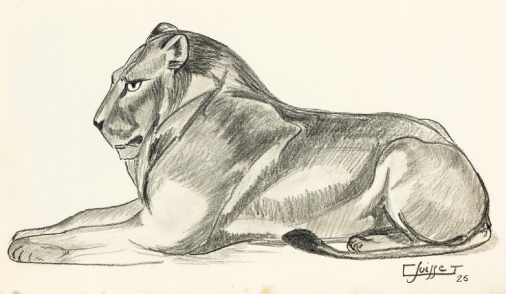 Lion couché, 1926