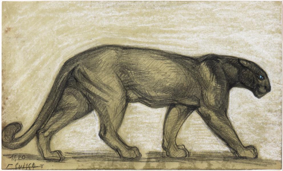 Panthère noire, 1920