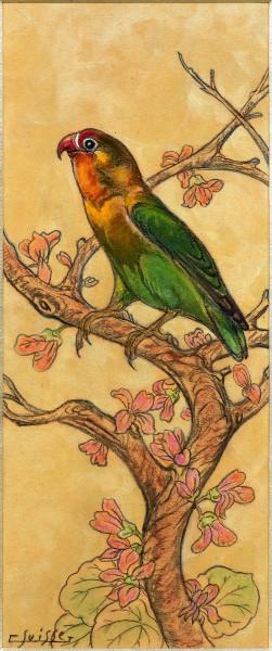 Perroquet dans un arbre de Judée