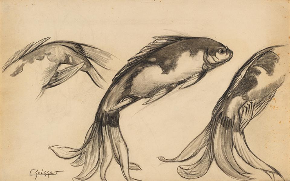 Poissons carpes Koi Gaston SUISSE