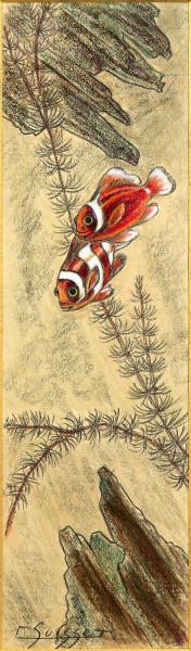 Poissons clowns