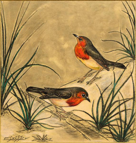 Rouges-gorges