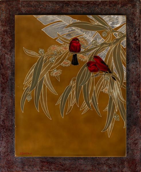 Tangaras dans les eucalyptus en fleurs Gaston SUISSE
