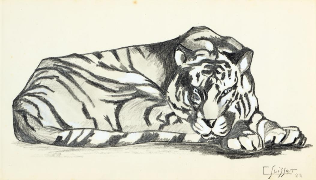 Tigre couché, 1923