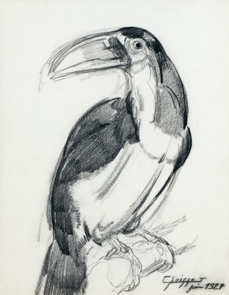 Toucan, 1927