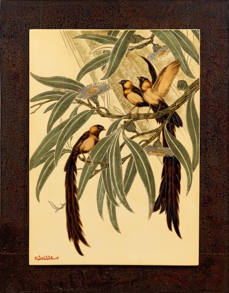 Veuves dans les Eucalyptus en fleurs, circa 1940