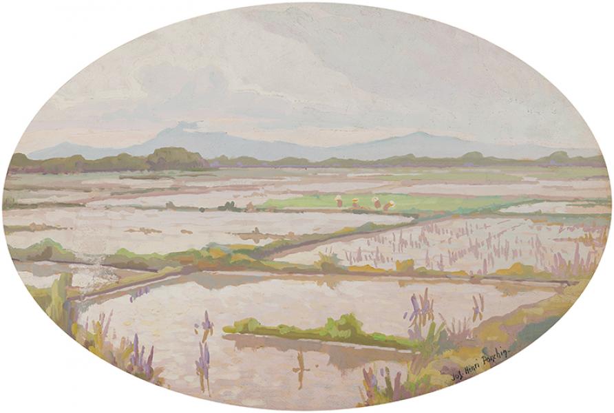 Rizières Jos Henri PONCHIN