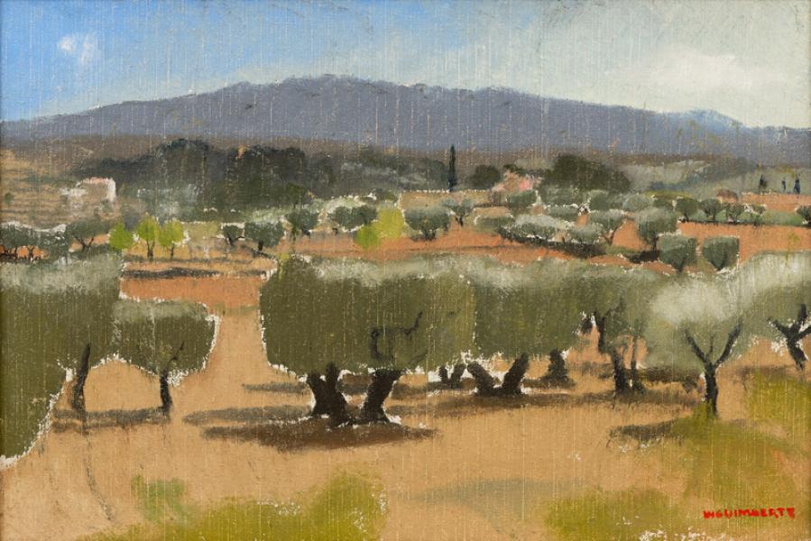 Oliveraie en Provence