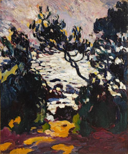 Arbres en bord de mer dans le Midi, circa 1905