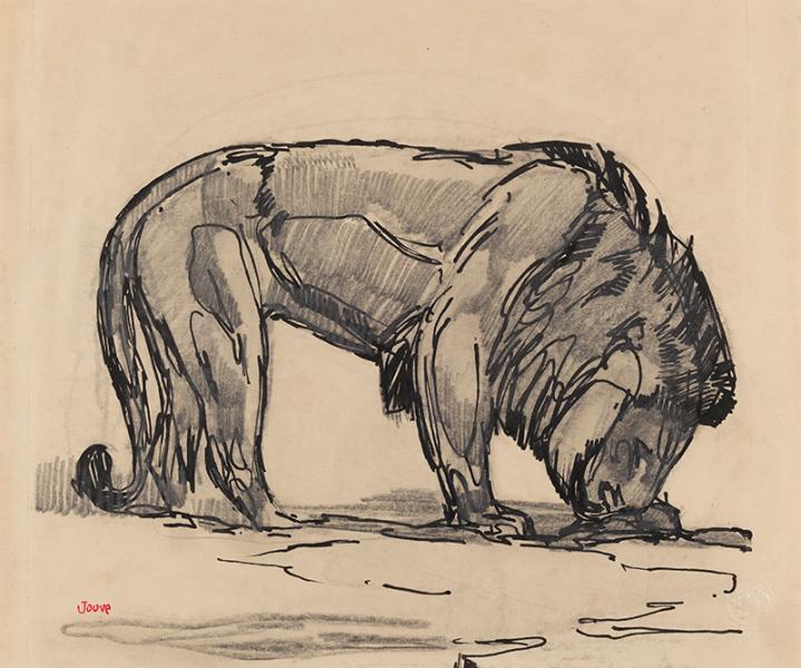 Lion s'abreuvant Paul JOUVE