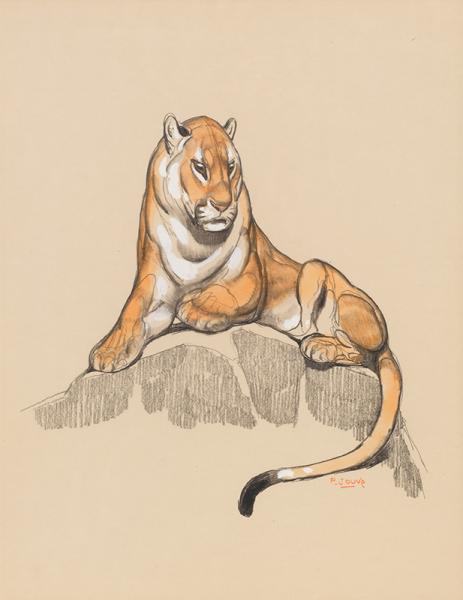 Panthère sur un rocher Paul JOUVE