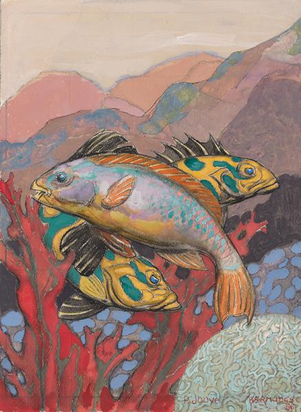 Poissons des Bermudes, 1956 Paul JOUVE