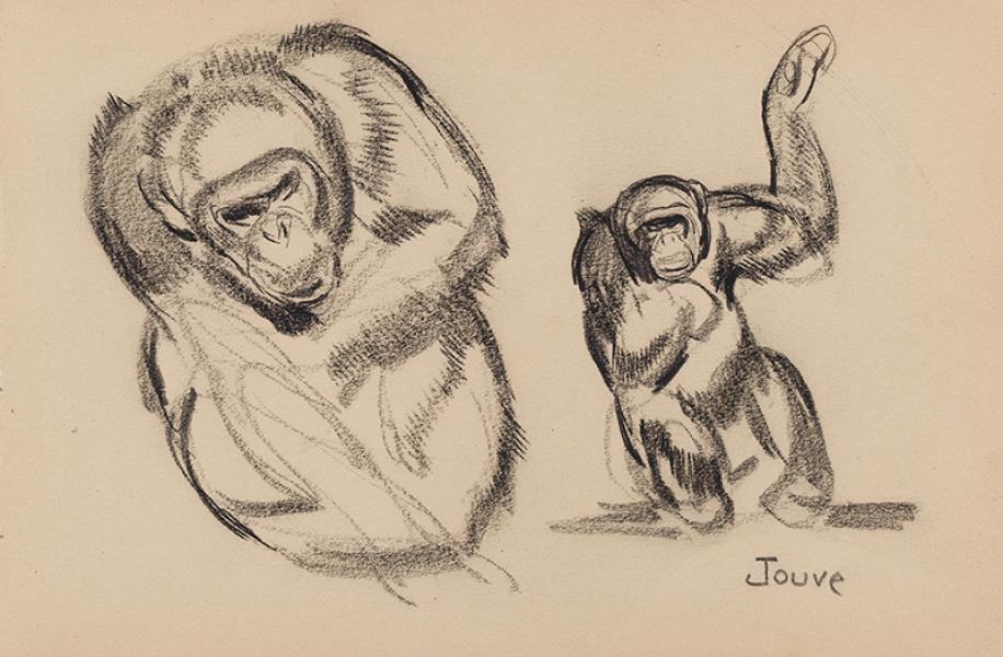 Singe, 1950 Paul JOUVE