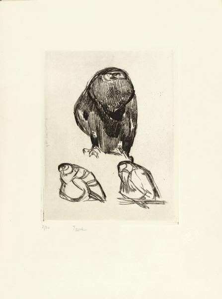 Aigle de face, c. 1910
