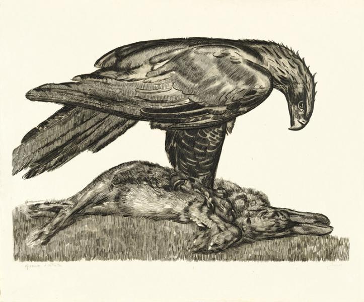 Aigle enserrant un lièvre, c. 1930