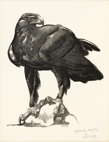 Aigle royal, 1948