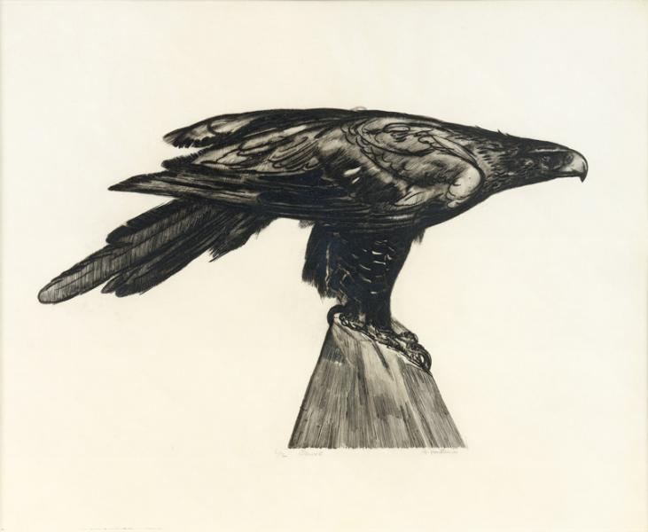 Aigle sur un rocher, 1930