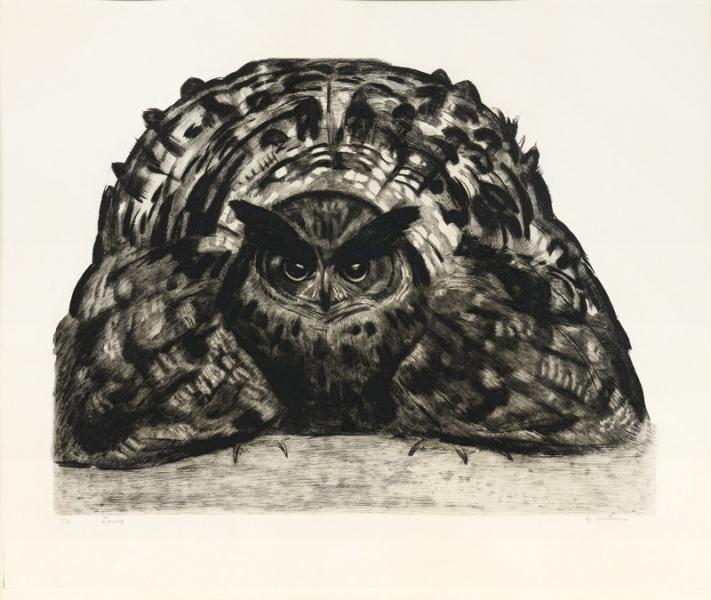 Grand Duc ébouriffé, c. 1930