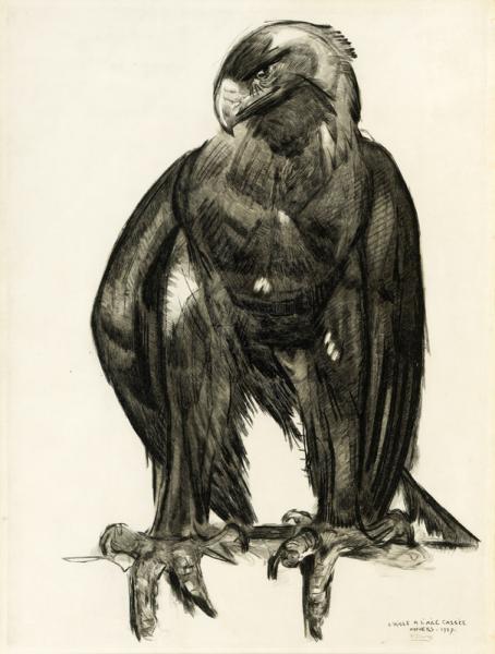 L’aigle à l’aile cassée, Anvers, 1927