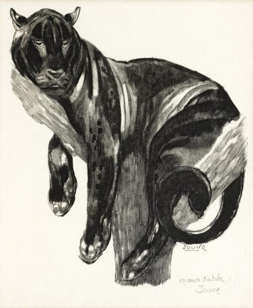 Panthère branchée, c. 1948