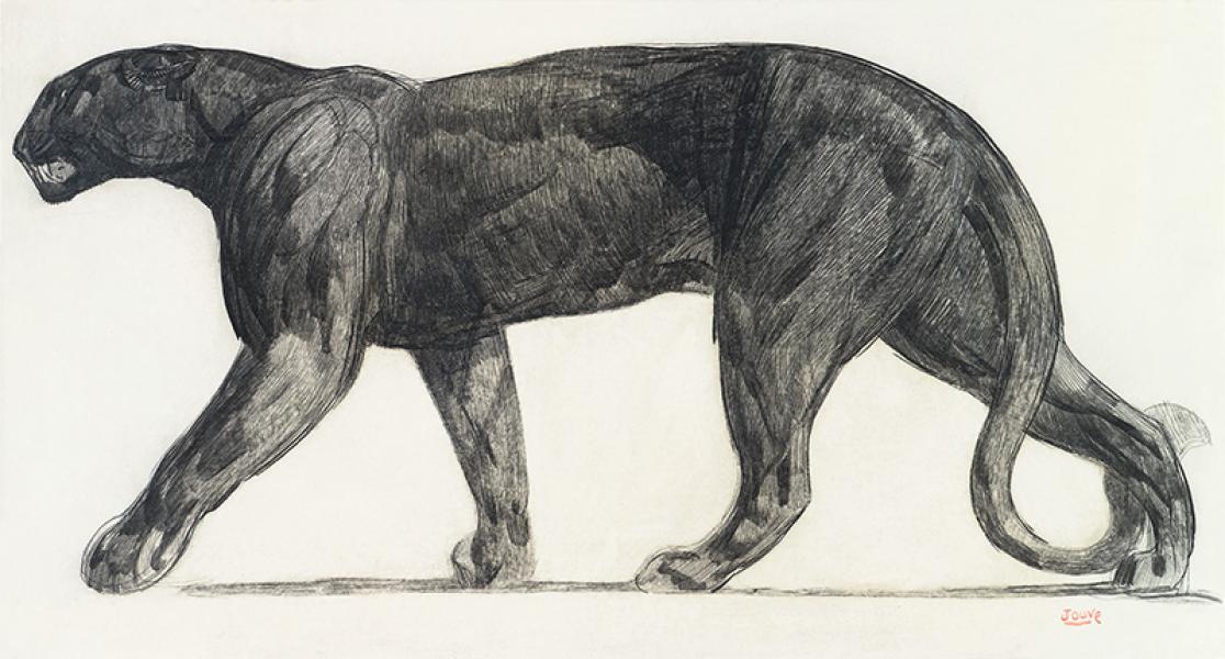 Panthère noire marchant de profil, 1922