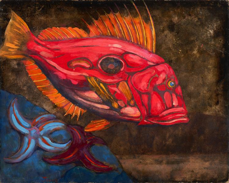 Poisson des Bermudes, 1957