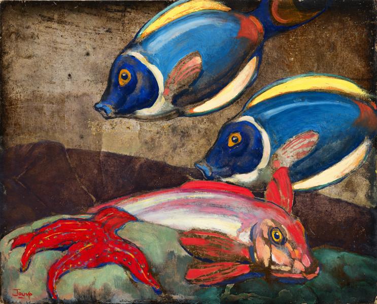 Poissons des Bermudes et étoile de mer, 1957