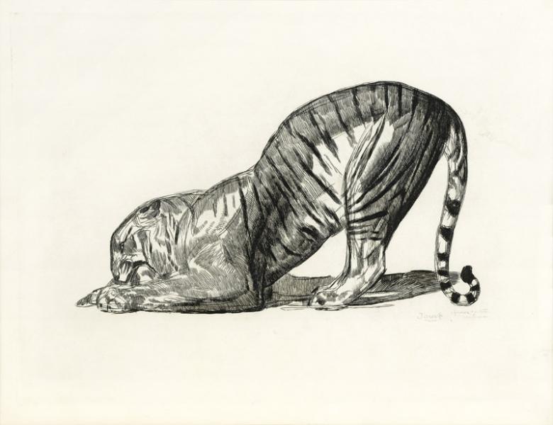Tigre sur sa proie, 1931