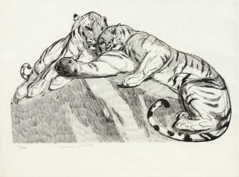 Tigres au repos, 1931