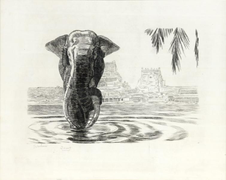 Éléphant de Madura, 1931