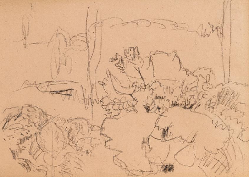 Esquisse de végétation, Arcachon, circa 1922