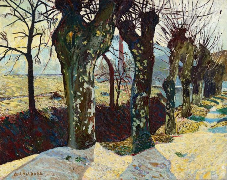 Platanes en hiver, Auriol, 1906.