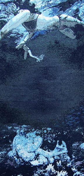 Bain de minuit (pieuvre), 2013