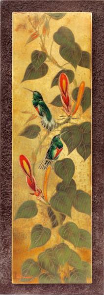 Colibris dans les orchidées