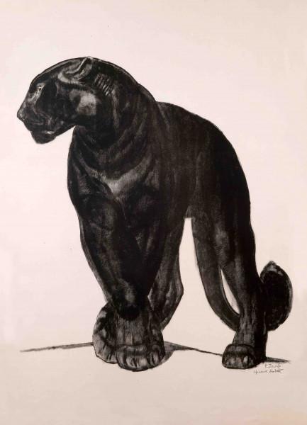 Panthère noire de face, pattes croisées, c. 1929