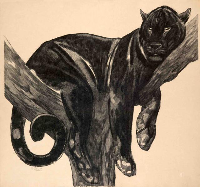 Panthère noire branchée, c. 1927
