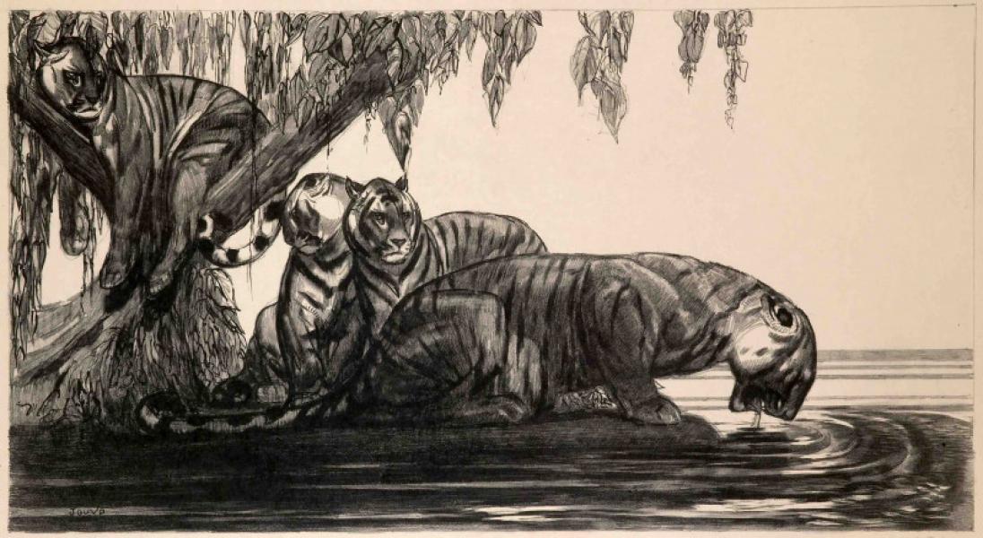 Tigres s’abreuvant, c.1937