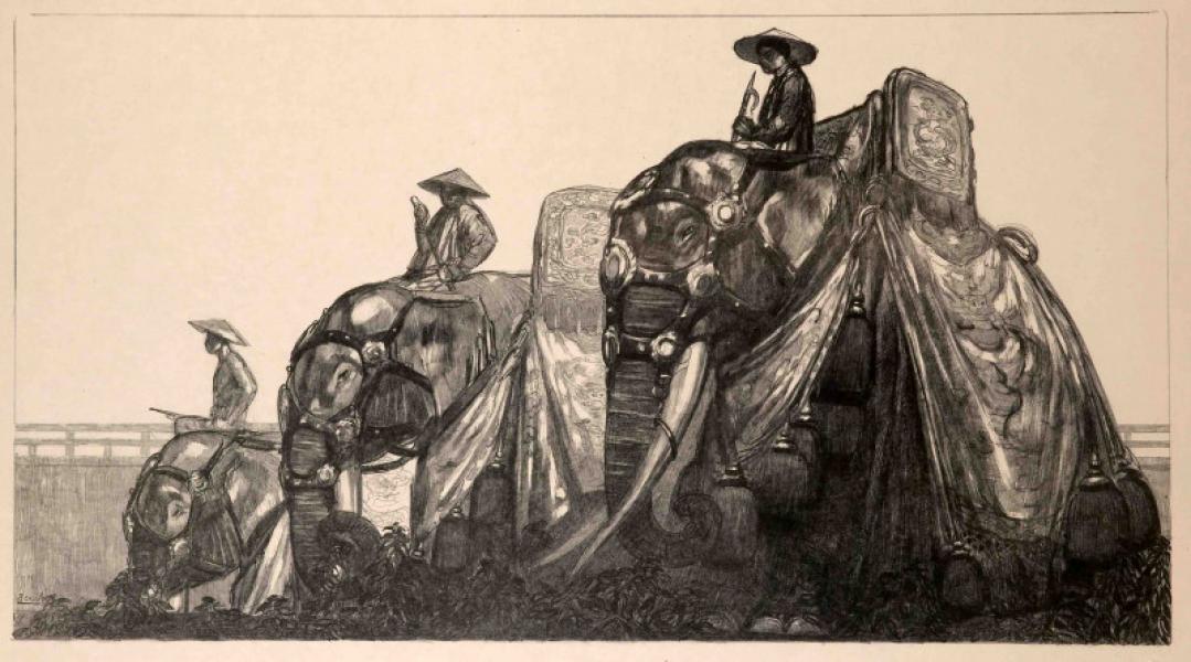 Éléphants à Hué, c. 1937