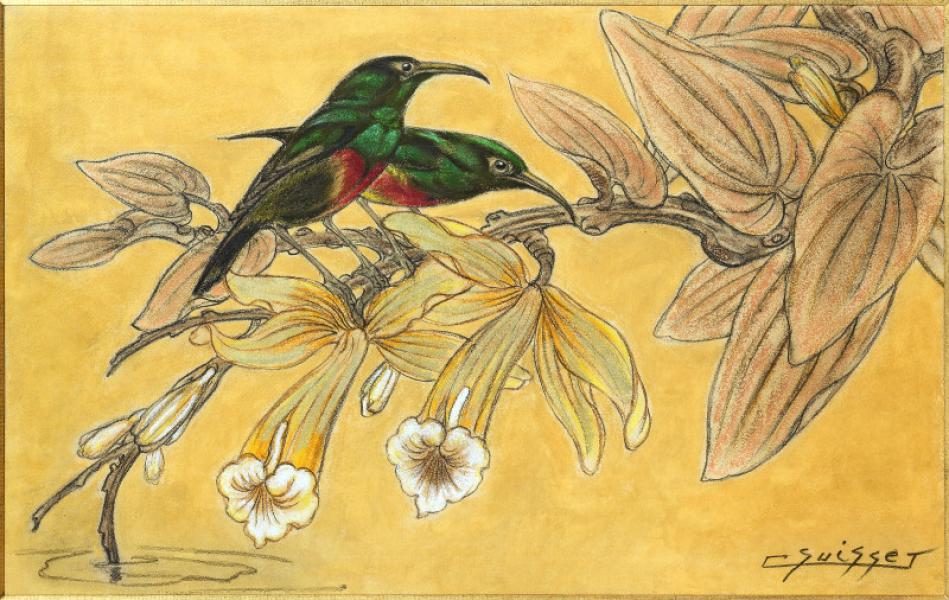 Colibris dans les fleurs de vanille