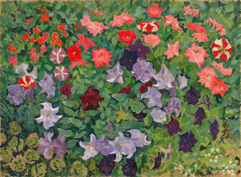 Jardin sud, petunias roses, mauves et violets