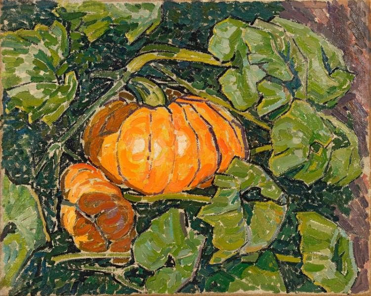 Plant de citrouille Jacques MARTIN FERRIERES