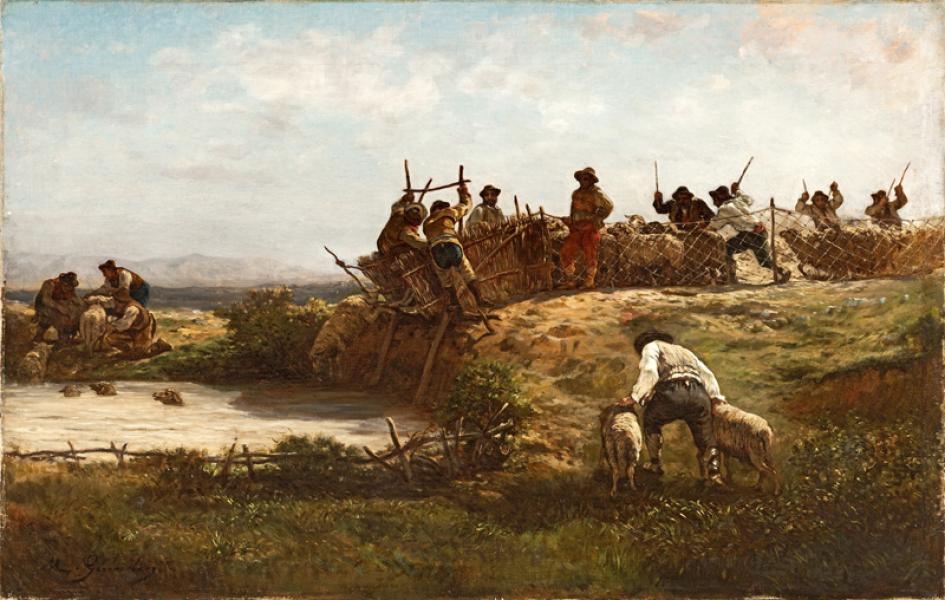 Le travail auprès du troupeau